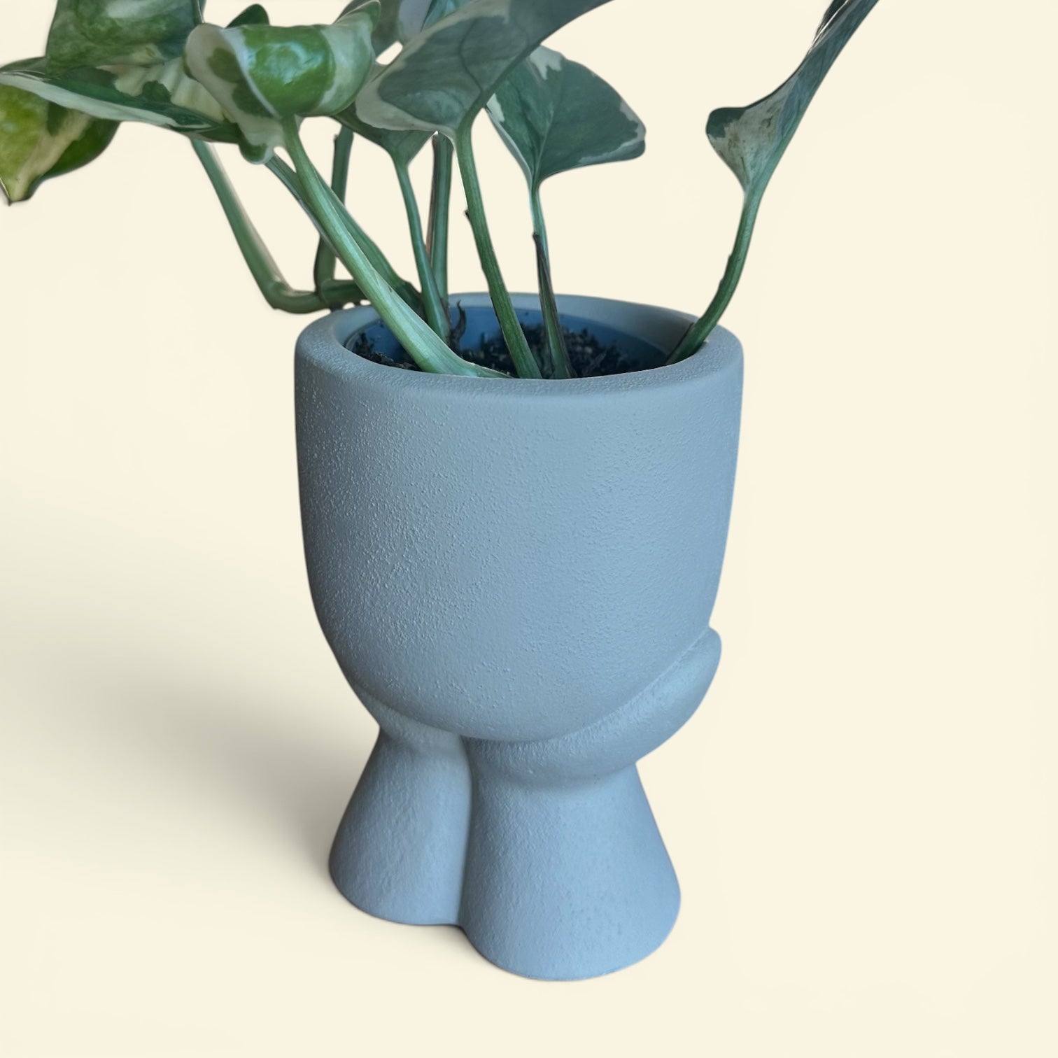 Cache-pot SAO