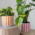 Cache-pot CAPRI