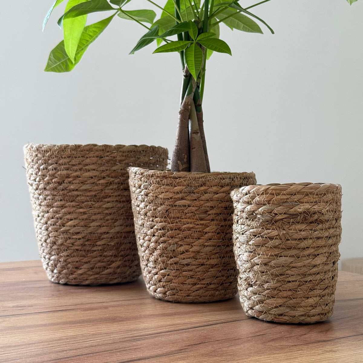 Cache-pots tressé