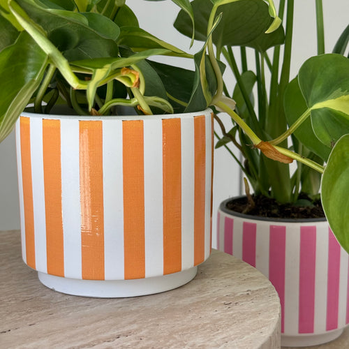 Cache-pot CAPRI