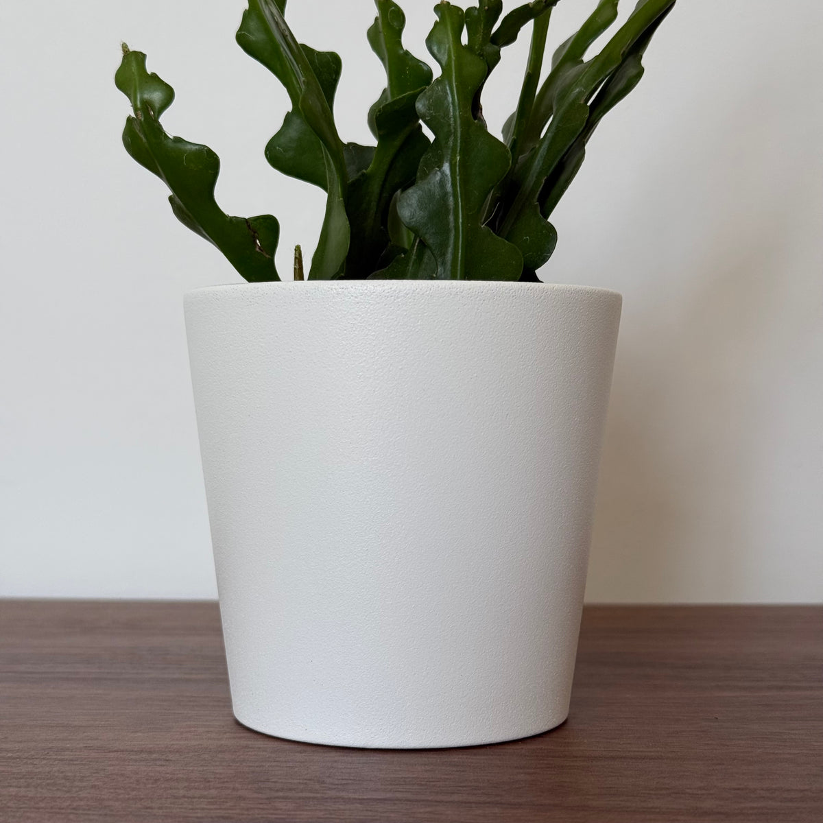 Cache-pot MILANO 10cm