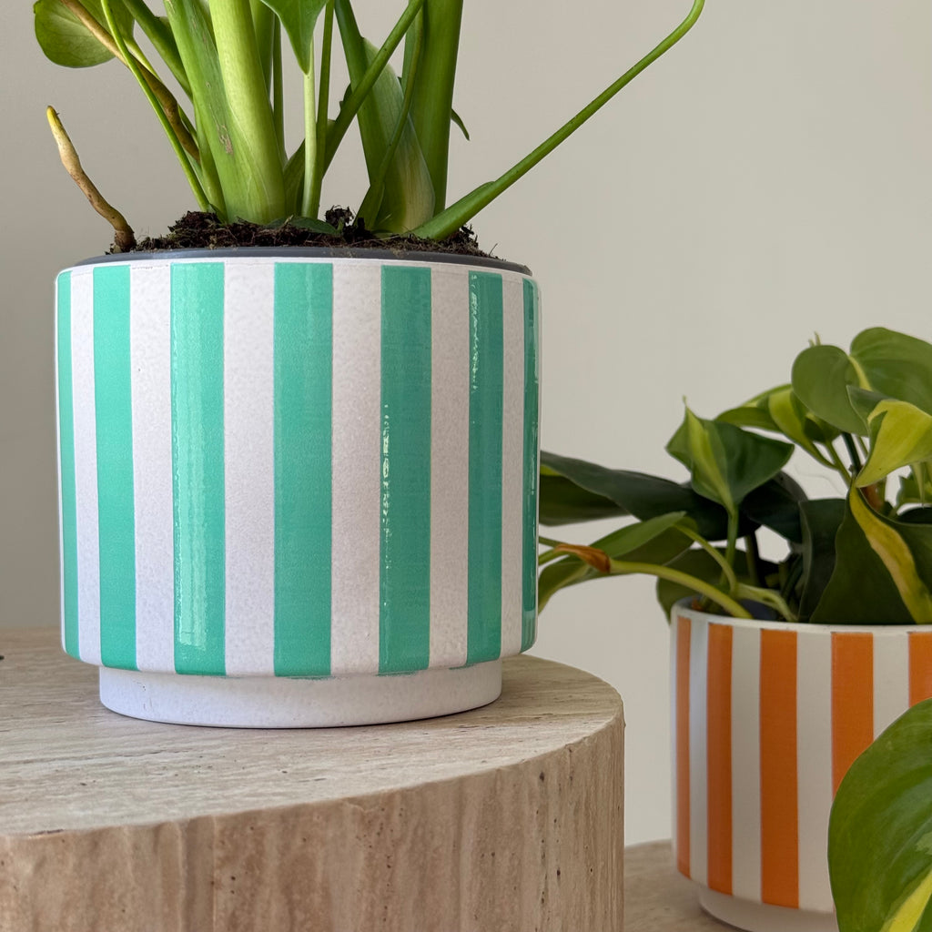 Cache-pot CAPRI