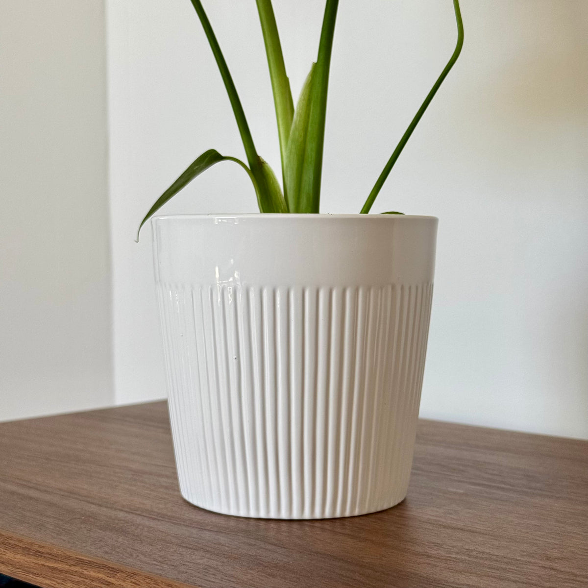 Cache-pot BERLIN 12cm