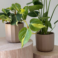 Cache-pot STOCKOLM