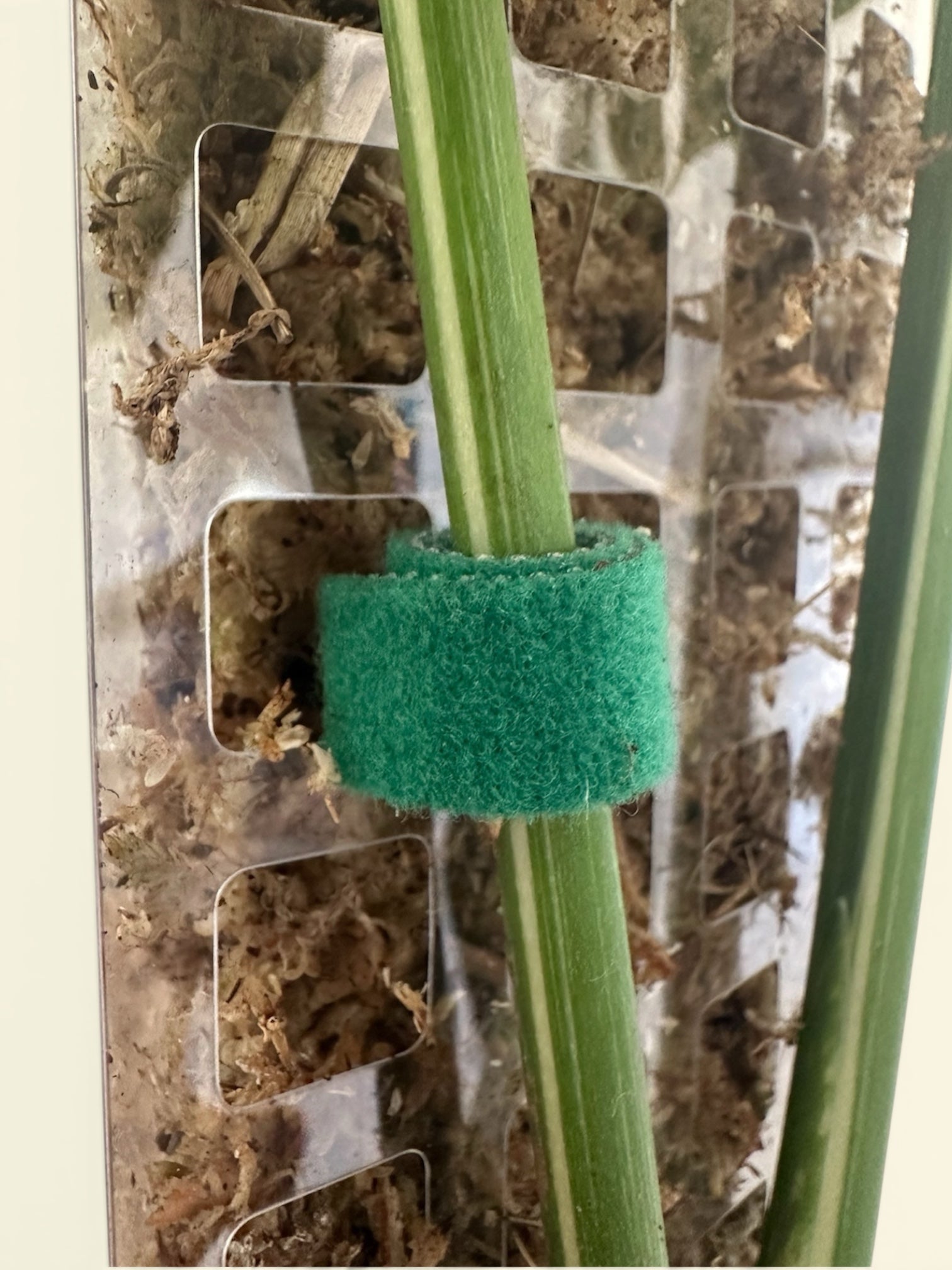 Ruban Velcro 1m