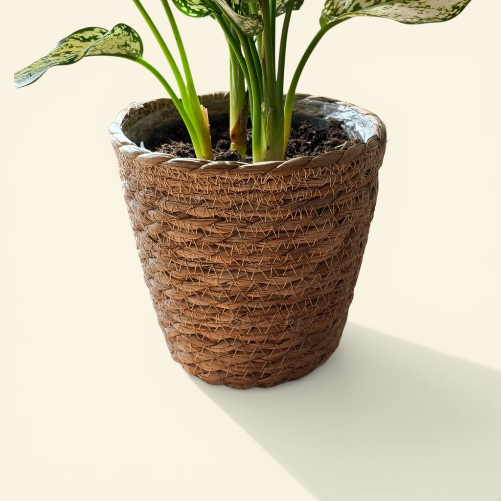 Cache-pot tressé