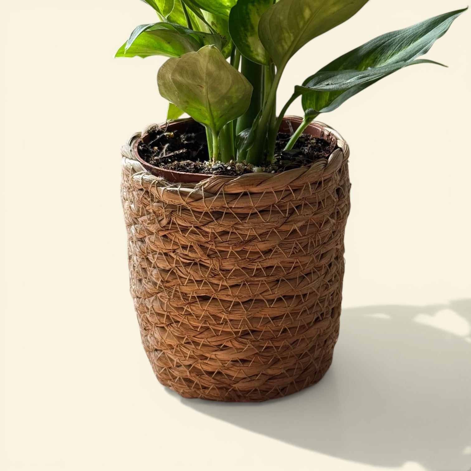 Cache-pot tressé